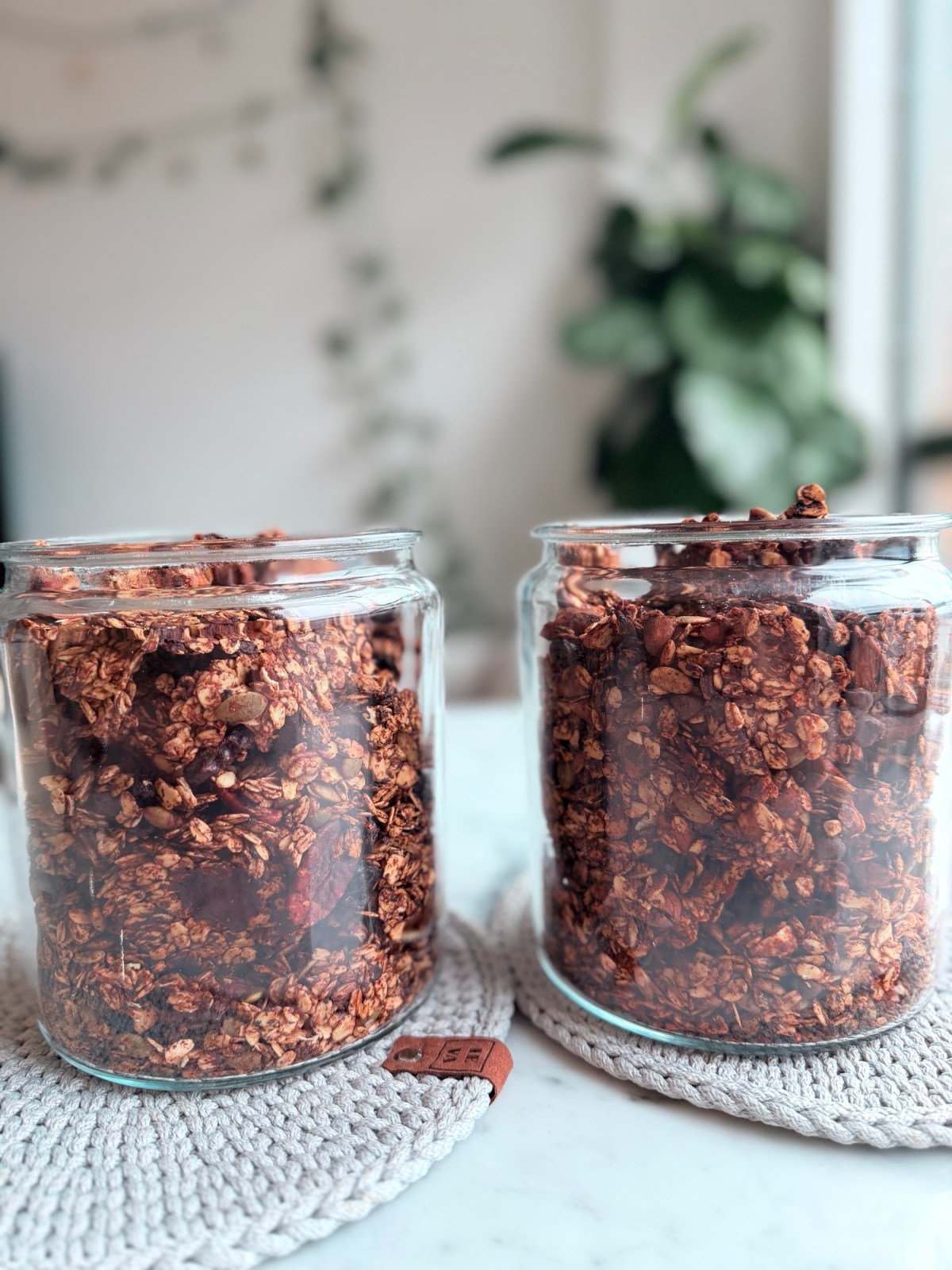 🍫 Homemade Cacao Chocolate Chip&nbsp;Granola